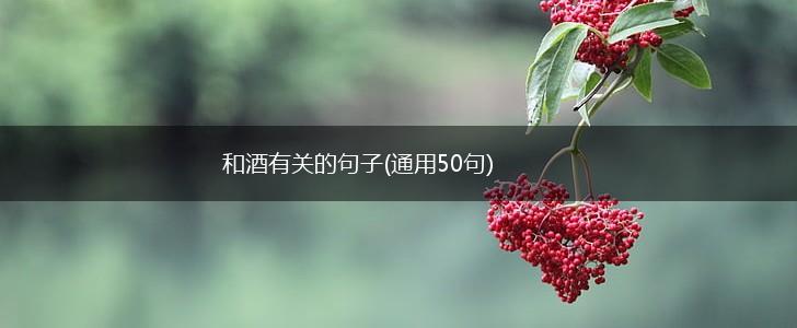 和酒有关的句子(通用50句),第1张