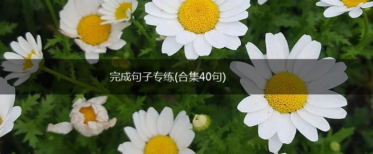 完成句子专练(合集40句),第1张