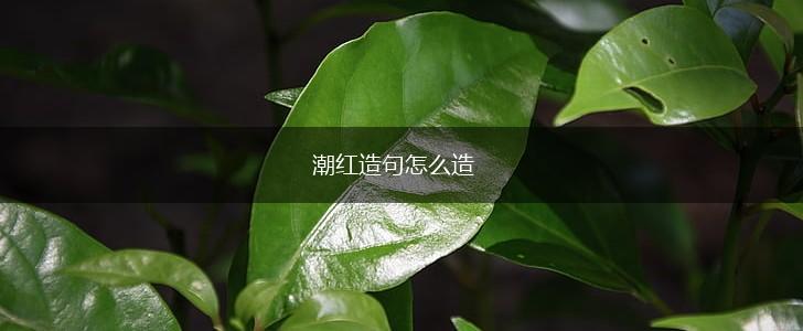 潮红造句怎么造,第1张