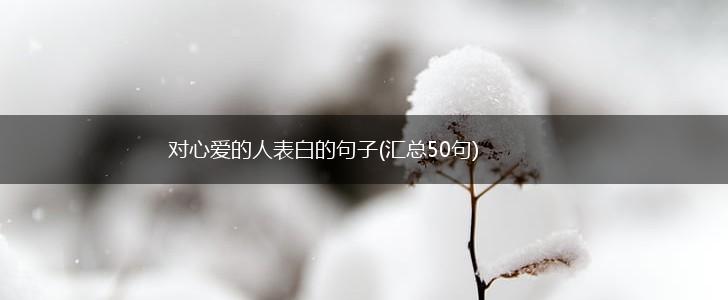 对心爱的人表白的句子(汇总50句),第1张