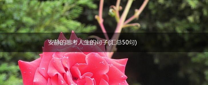 安静的思考人生的句子(汇总50句),第1张