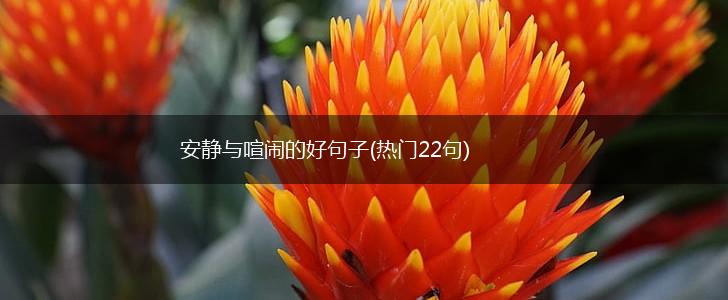 安静与喧闹的好句子(热门22句),第1张