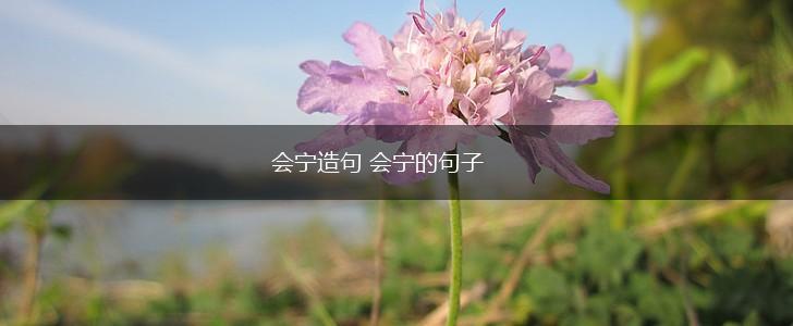 会宁造句 会宁的句子,第1张