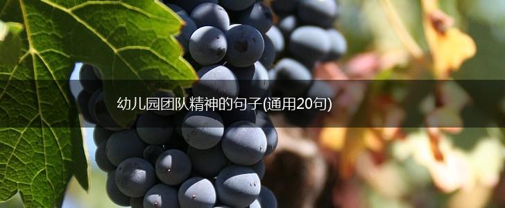 幼儿园团队精神的句子(通用20句),第1张