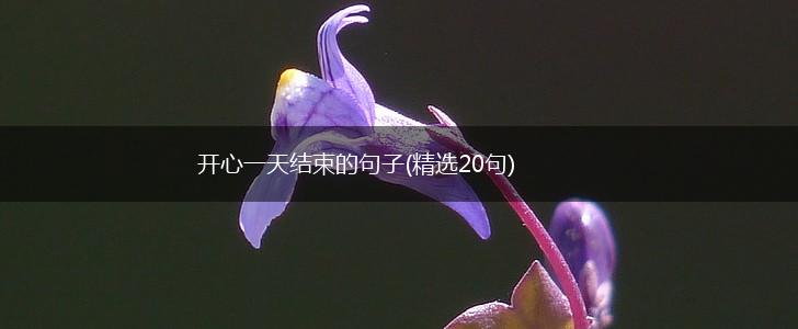 开心一天结束的句子(精选20句),第1张
