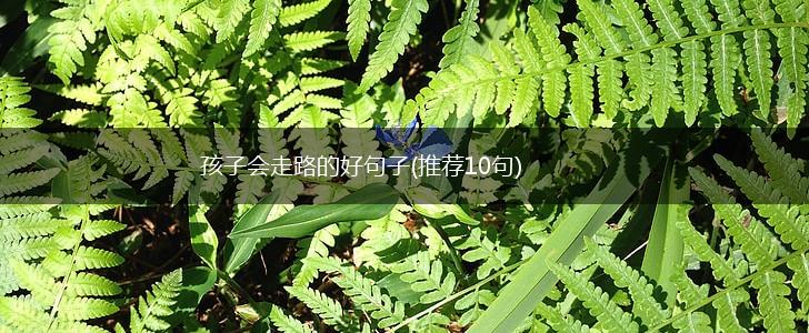 孩子会走路的好句子(推荐10句),第1张
