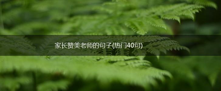 家长赞美老师的句子(热门40句),第1张