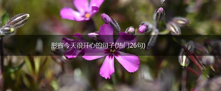 形容今天很开心的句子(热门26句),第1张