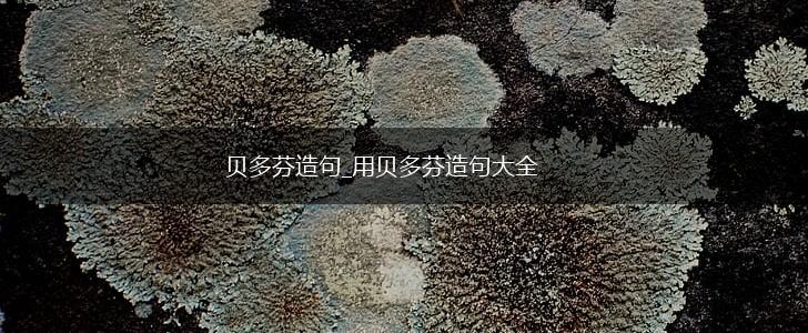 贝多芬造句_用贝多芬造句大全,第1张