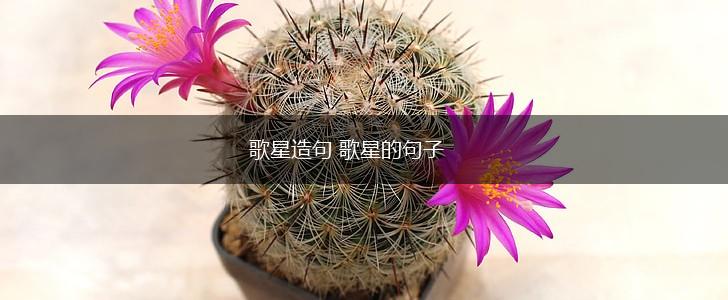 歌星造句 歌星的句子,第1张