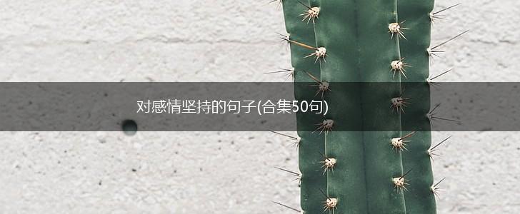 对感情坚持的句子(合集50句),第1张