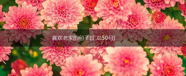 喜欢老家的句子(汇总50句),第1张