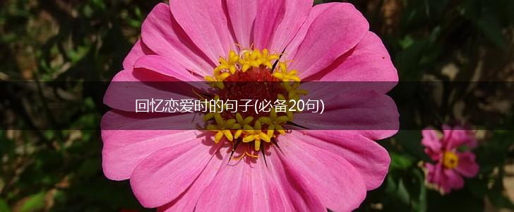 回忆恋爱时的句子(必备20句),第1张