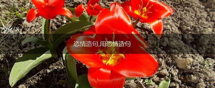 恣情造句,用恣情造句,第1张