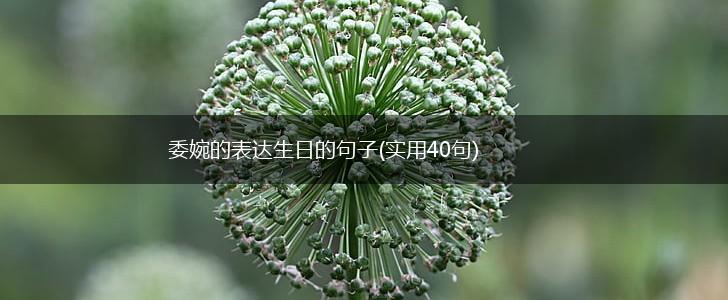 委婉的表达生日的句子(实用40句),第1张