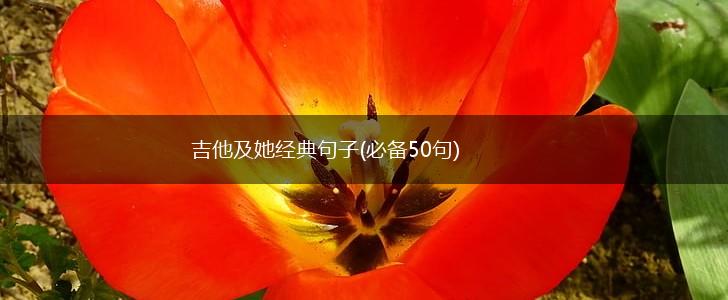 吉他及她经典句子(必备50句),第1张