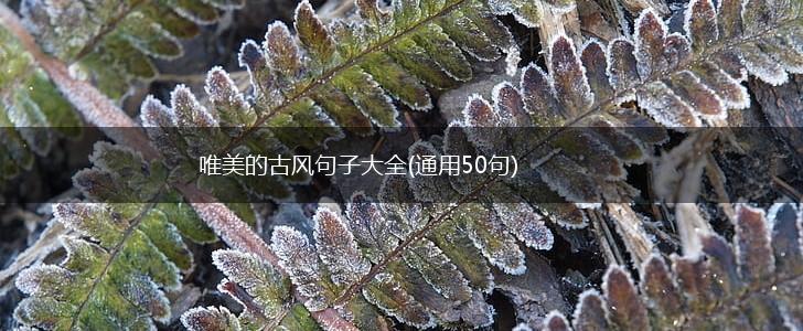唯美的古风句子大全(通用50句),第1张