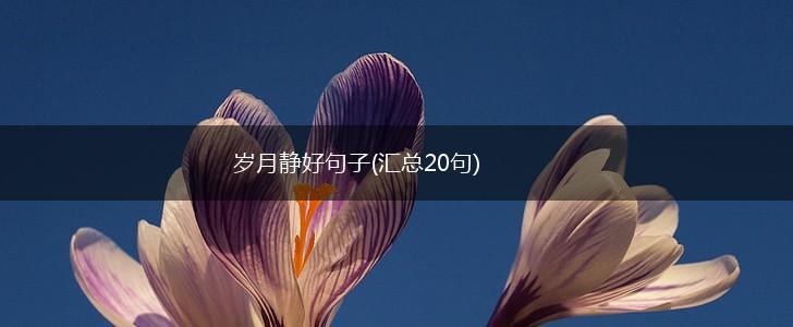 岁月静好句子(汇总20句),第1张