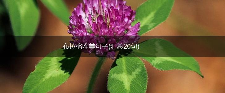 布拉格唯美句子(汇总20句),第1张