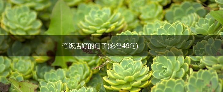 夸饭店好的句子(必备49句),第1张