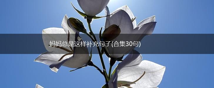 妈妈总是这样补充句子(合集30句),第1张