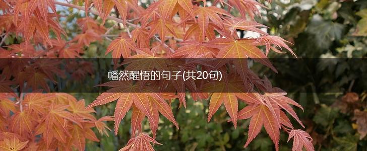 幡然醒悟的句子(共20句),第1张 幡然醒悟的句子(共20句),第1张