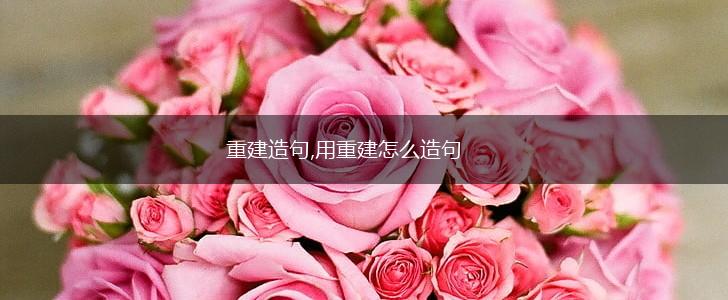 重建造句,用重建怎么造句,第1张