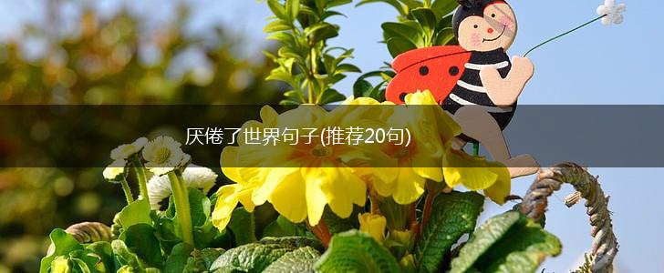 厌倦了世界句子(推荐20句),第1张