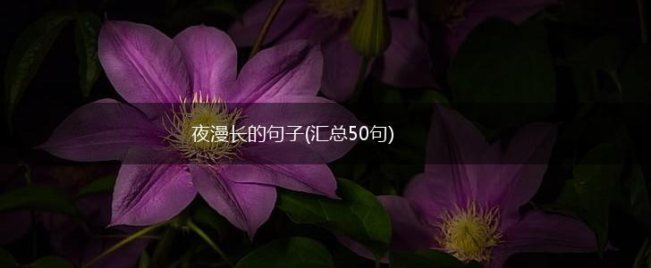 夜漫长的句子(汇总50句),第1张