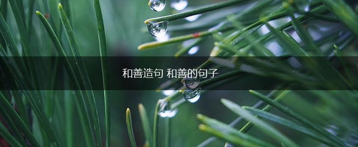 和善造句 和善的句子,第1张