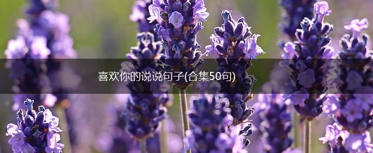 喜欢你的说说句子(合集50句),第1张