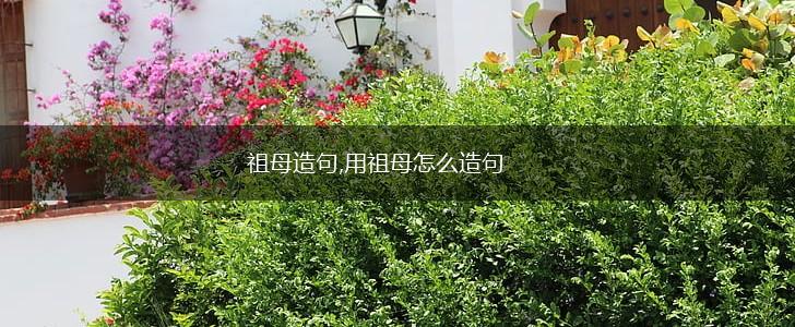 祖母造句,用祖母怎么造句,第1张