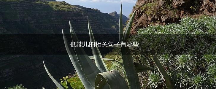 低能儿的相关句子有哪些,第1张