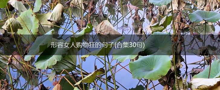 形容女人购物狂的句子(合集30句),第1张