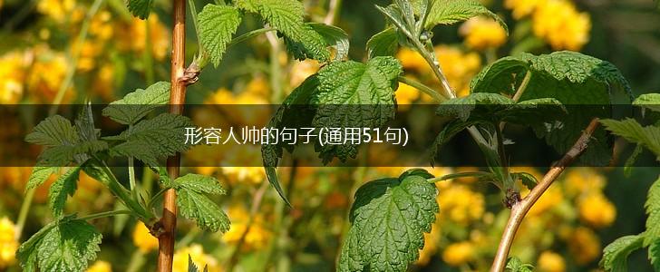 形容人帅的句子(通用51句),第1张