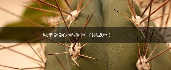 哲理说说心情空间句子(共20句),第1张