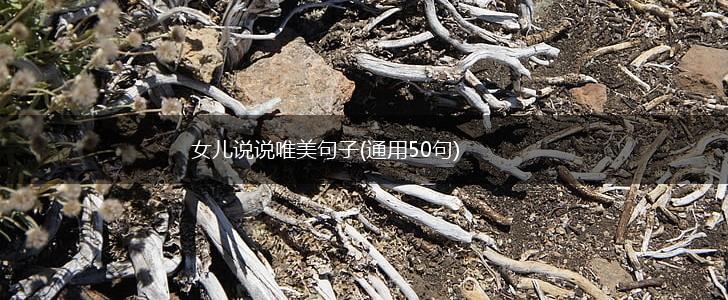 女儿说说唯美句子(通用50句),第1张
