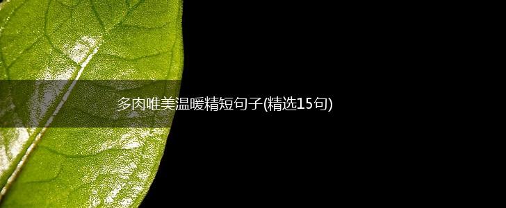 多肉唯美温暖精短句子(精选15句),第1张