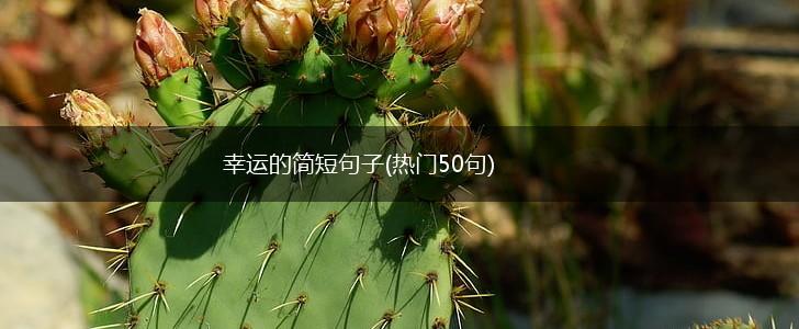 幸运的简短句子(热门50句),第1张