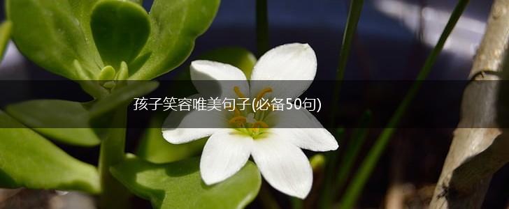 孩子笑容唯美句子(必备50句),第1张