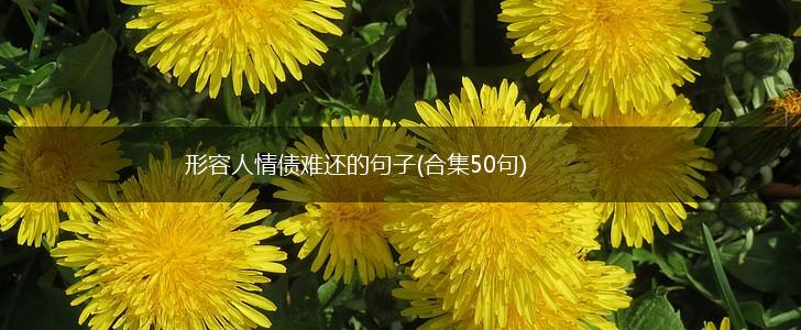 形容人情债难还的句子(合集50句),第1张