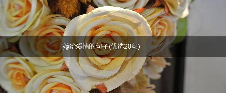 嫁给爱情的句子(优选20句),第1张