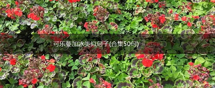 可乐要加冰类似句子(合集50句),第1张