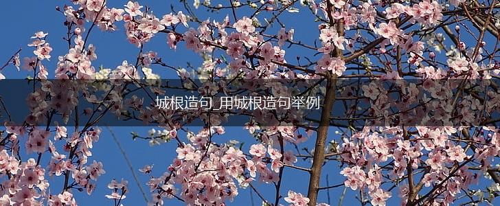 城根造句_用城根造句举例,第1张