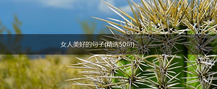 女人美好的句子(精选50句),第1张