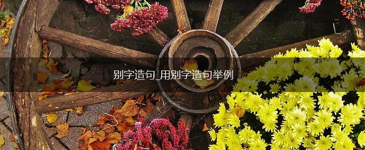 别字造句_用别字造句举例,第1张