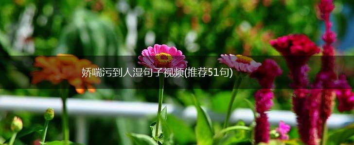 娇喘污到人湿句子视频(推荐51句),第1张
