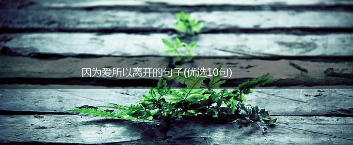 因为爱所以离开的句子(优选10句),第1张