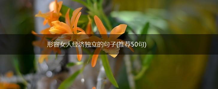 形容女人经济独立的句子(推荐50句),第1张