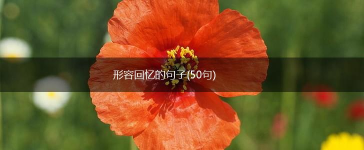 形容回忆的句子(50句),第1张